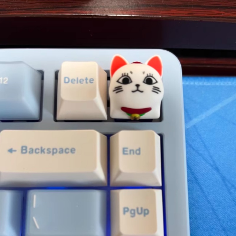In Stock Keycap Dan Da Dang Tu – Custom Keycaps recenzja i cena