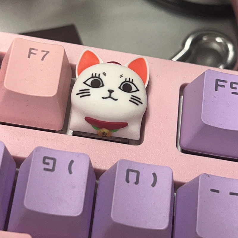 In Stock Keycap Dan Da Dang Tu – Custom Keycaps recenzja i cena